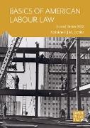 Basics of American Labour Law
