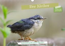 Der Kleiber - Ostfriesenfotografie und der Vogel-Zorro (Wandkalender 2023 DIN A3 quer)