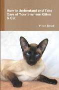 How to Understand and Take Care of Your Siamese Kitten & Cat