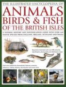 The Illustrated Encyclopedia of Animals, Birds & Fish of the British Isles: A Natural History and Identification Guide with Over 440 Native Species fr