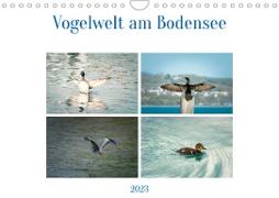 Vogelwelt am Bodensee 2023 (Wandkalender 2023 DIN A4 quer)