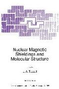 Nuclear Magnetic Shielding and Molecular Structure