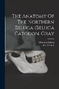The Anatomy Of The Northern Beluga (beluga Catodon, Gray