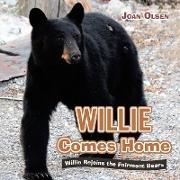 Willie Comes Home