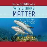 Why Sharks Matter: A Deep Dive with the World's Most Misunderstood Predator