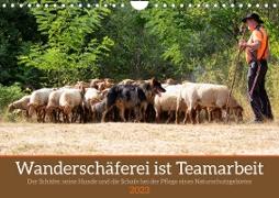 Wanderschäferei ist Teamarbeit (Wandkalender 2023 DIN A4 quer)