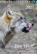 Der Wolf - Isegrim in den heimischen Wäldern - Kalender 2023 (Tischkalender immerwährend DIN A5 hoch)