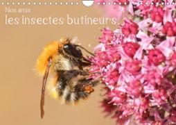 Nos amis, les insectes butineurs (Calendrier mural 2023 DIN A4 horizontal)