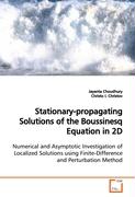 Stationary-propagating Solutions of the BoussinesqEquation in 2D