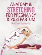 Anatomy & Stretching for Pregnancy and Postpartum