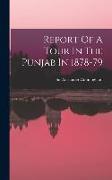 Report Of A Tour In The Punjab In 1878-79