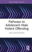 Pathways to Adolescent Male Violent Offending