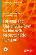 Potential and Challenges of Low Carbon Fuels for Sustainable Transport