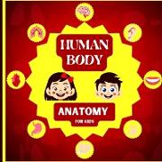 Human Body Anatomy for Kids