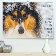 Collies - Eine Liebe für immer und ewig (Premium, hochwertiger DIN A2 Wandkalender 2023, Kunstdruck in Hochglanz)