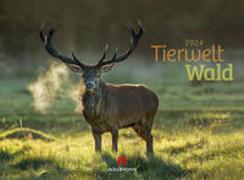 Tierwelt Wald Kalender 2024