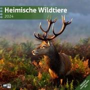 Heimische Wildtiere Kalender 2024 - 30x30