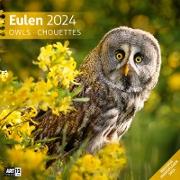 Eulen Kalender 2024 - 30x30