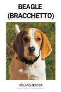 Beagle (Bracchetto)