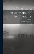 The Algebra of Invariants