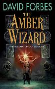 The Amber Wizard