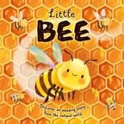 Nature Stories: Little Bee: Padded Board Book