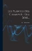 Les Plantes Des Champs Et Des Bois