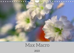 Max Macro (Wandkalender 2023 DIN A4 quer)