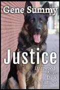 Justice: Driftwood after Dark - Volume 3