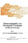 Chromatographic and Membrane Processes in Biotechnology