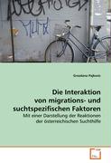 Die Interaktion von migrations- und suchtspezifischen Faktoren