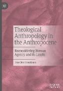 Theological Anthropology in the Anthropocene