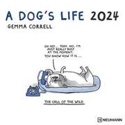 A Dog's Life 2024 - Wand-Kalender - Broschüren-Kalender - 30x30 - 30x60 geöffnet - Hunde - Cartoon