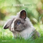 Kaninchen 2024 - Broschürenkalender 30x30 cm (30x60 geöffnet) - Kalender mit Platz für Notizen - Rabbits - Bildkalender - Wandplaner - Wandkalender