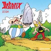 Asterix 2024 - Wand-Kalender - Broschüren-Kalender - 30x30 - 30x60 geöffnet - Cartoon