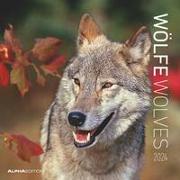 Wölfe 2024 - Broschürenkalender 30x30 cm (30x60 geöffnet) - Kalender mit Platz für Notizen - Wolves - Bildkalender - Wandplaner - Alpha Edition