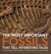 The Most Important Fossils That Tell Interesting Tales | Curious About Fossils Grade 5 | Children's Earth Sciences Books