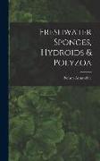 Freshwater Sponges, Hydroids & Polyzoa