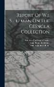 Report Of W.j. Stillman On The Cesnola Collection