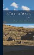 A Trip to Pioche, Being a Sketch of Recent Frontier Travel