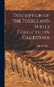 Description of the Fossils and Shells Collected in California