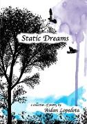 Static Dreams