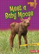 Meet a Baby Moose