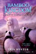 Bamboo Kingdom #3: Journey to the Dragon Mountain