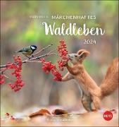 Vadim Trunov: Märchenhaftes Waldleben Postkartenkalender 2024