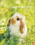 Kaninchenkinder Posterkalender 2024 von Monika Wegler. Ein bezaubernder Tierkalender mit süßen Fotos. Dekorativer Kalender für Tierfreunde. Hochformat 34 x 44 cm