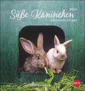 Süße Kaninchen Postkartenkalender 2024. Tierfotografin Monika Wegler setzt in einem kleinen Kalender niedliche Häschen in Szene. Tischkalender im Postkartenformat