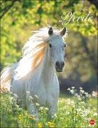 Pferde Classics Posterkalender 2024. Die Eleganz der Tiere in einem Kalender im Posterformat eingefangen von Sabine Stuewer. Hochwertiger Fotokalender für Pferdefreunde