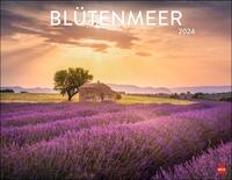 Blütenmeer Posterkalender 2024. Wandkalender mit 12 beeindruckenden Landschaftsfotos. Dekorativer Jahres-Kalender mit üppigen Blumenwiesen. 44x34 cm. Querformat