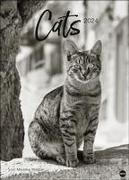 Monika Wegler: Cats Edition 2024. Elegante Samtpfoten in schwarz-weiß in einem XXL-Kalender. Tierkalender 2024 im Großformat. Hochwertiger großer Fotokalender für Katzenfans